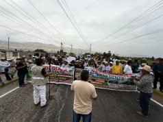 Crisis arrocera en Piura se agrava por sobreoferta e importaciones