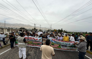Crisis arrocera en Piura se agrava por sobreoferta e importaciones