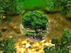 Día del Medio Ambiente: exigen más control a inversiones