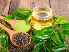 Salud: ¿Para qué sirve el té verde? Estos son sus principales beneficios
