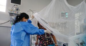 Advierten aumento de casos graves de dengue en Piura