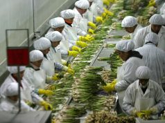 Agroexportaciones de frutas crecieron 17.3% hasta abril de 2026