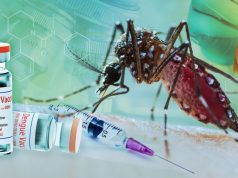 OPS impulsa acceso equitativo a vacunas contra el dengue en región