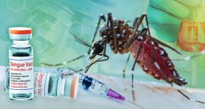OPS impulsa acceso equitativo a vacunas contra el dengue en región