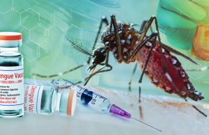 OPS impulsa acceso equitativo a vacunas contra el dengue en región